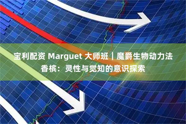 宝利配资 Marguet 大师班｜魔爵生物动力法香槟：灵性与觉知的意识探索