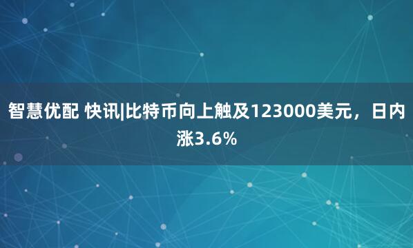 智慧优配 快讯|比特币向上触及123000美元，日内涨3.6%